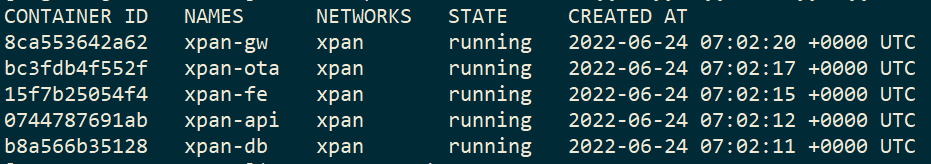 查看系统相关Docker容器